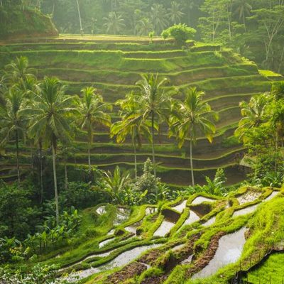 Gianyar