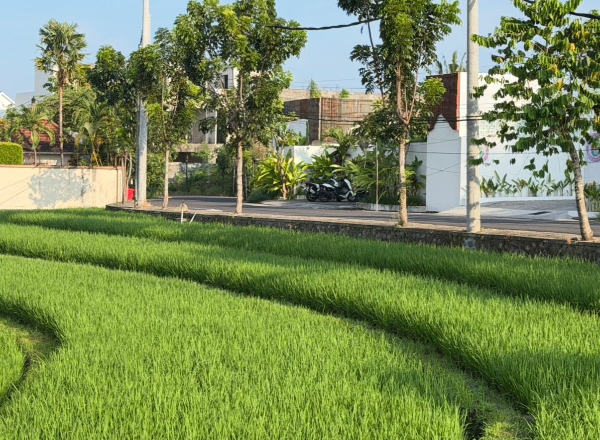 Villa 2 Bed In Canggu EK-4218