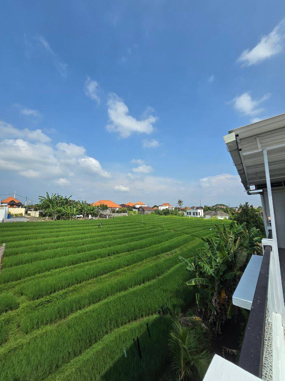 Villa 3 Bed In Canggu TK-4308