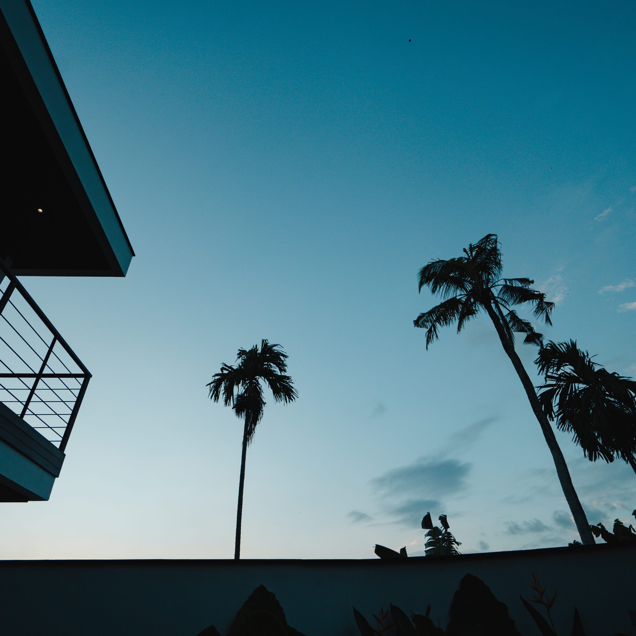 Villa 3 Bed In Canggu EK-3538